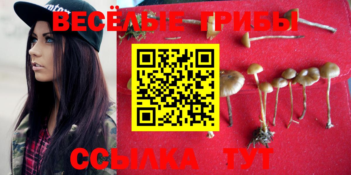 Галлюциногенные грибы мицелий Черемхово